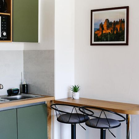 Studio Avec Parking Vue Sur La Cite De Carcassone Exterior photo