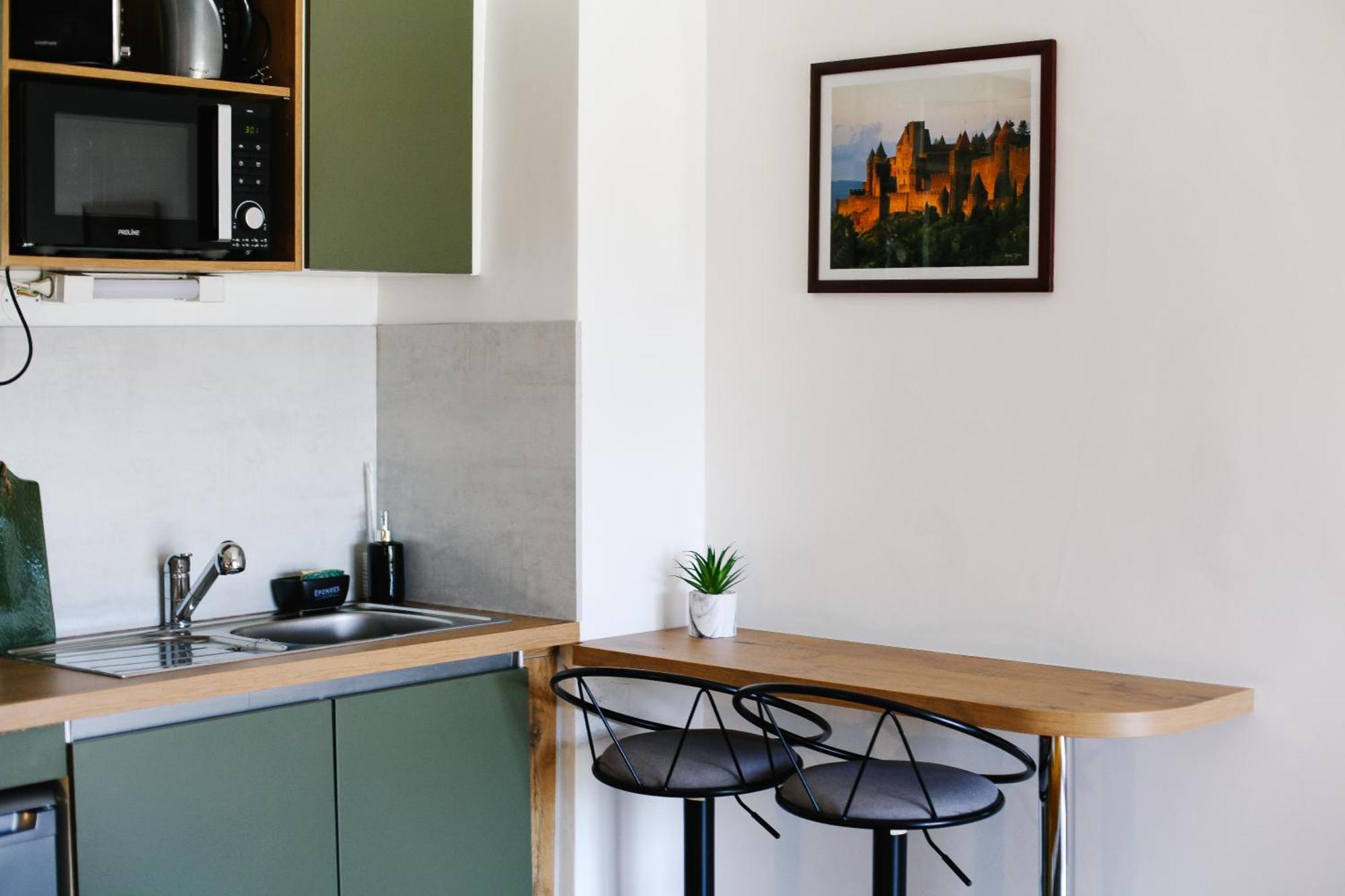 Studio Avec Parking Vue Sur La Cite De Carcassone Exterior photo